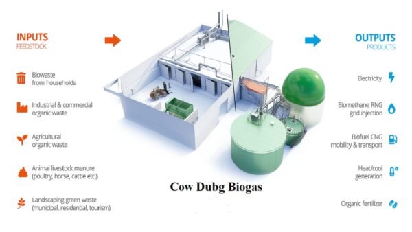 cow-dung-biogas