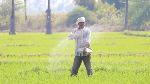 farmer-in-field